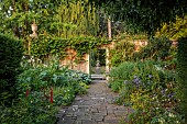 COTTESBROOKE HALL AND GARDENS, NORTHAMPTONSHIRE: THE TERRACE, DOUBLE HERBACEOUS BORDERS, LUPINS, ALCHEMILLA MOLLIS, HOSTAS