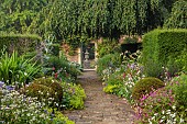 COTTESBROOKE HALL AND GARDENS, NORTHAMPTONSHIRE: THE TERRACE, DOUBLE HERBACEOUS BORDERS, ONOPORDUM ACANTHIUM, LUPINS, ALCHEMILLA MOLLIS , HOSTAS