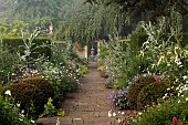 COTTESBROOKE HALL AND GARDENS, NORTHAMPTONSHIRE: THE TERRACE, DOUBLE HERBACEOUS BORDERS, ONOPORDUM ACANTHIUM, GERANIUMS, FOCAL POINT, GATE, OPENING, URN, CONTAINER, PATH