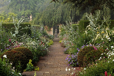 COTTESBROOKE_HALL_AND_GARDENS_NORTHAMPTONSHIRE_THE_TERRACE_DOUBLE_HERBACEOUS_BORDERS_ONOPORDUM_ACANT