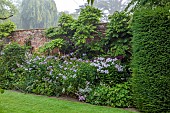 COTTESBROOKE HALL AND GARDENS, NORTHAMPTONSHIRE: BORDER OUTSIDE THE POOL GARDEN, PHLOX, CLEMATIS