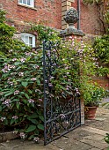 COTTESBROOKE HALL AND GARDENS, NORTHAMPTONSHIRE: GATE INTO DUTCH GARDEN, HYDRANGEA ASPERA MAUVETTE, CLEMATIS HAGELBY PINK
