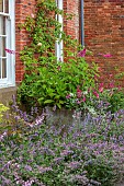 COTTESBROOKE HALL AND GARDENS, NORTHAMPTONSHIRE: STONE CONTAINERS IN THE OLD LAUNDRY YARD