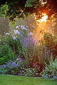 MORTON HALL GARDENS, WORCESTERSHIRE: SOUTH GARDEN, JULY, BORDER, SUNRISE, PEROVSKIA BLUE SPIRE, PHLOX, ECHINACEA