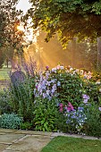 MORTON HALL GARDENS, WORCESTERSHIRE: SOUTH GARDEN, JULY, BORDER, SUNRISE, CLEMATIS BLUE ANGEL, ROSA JACQUES CARTIER, STACHYS HUMMELO, PEROVSKIA BLUE SPIRE