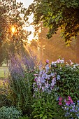 MORTON HALL GARDENS, WORCESTERSHIRE: SOUTH GARDEN, JULY, BORDER, SUNRISE, CLEMATIS BLUE ANGEL, ROSA JACQUES CARTIER, STACHYS HUMMELO, PEROVSKIA BLUE SPIRE