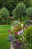 MORTON HALL GARDENS, WORCESTERSHIRE: SOUTH GARDEN, JULY, BORDER, CLEOME, SALVIA CARADONNA, CLIPPED BOX, LAWN, COSMOS, SIDALCEA ELSIE HEUGH