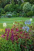 MORTON HALL GARDENS, WORCESTERSHIRE: SOUTH GARDEN, JULY, BORDER, CLEOME, PENSTEMON, AGAPANTHUS BLUE TRIUMPHATOR