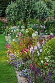 MORTON HALL GARDENS, WORCESTERSHIRE: SOUTH GARDEN, JULY, BORDER, CLEOME, SALVIA CARADONNA, CLIPPED BOX, LAWN, COSMOS, SIDALCEA ELSIE HEUGH