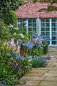 MORTON HALL GARDENS, WORCESTERSHIRE: SOUTH GARDEN, JULY, BORDER, SIDALCEA ELSIE HEUGH, AGAPANTHUS BLUE TRIUMPHATOR, ECHIUM BLUE BEDDER, ROSA MARY ROSE, MAYFLOWER, PHLOX UTOPIA