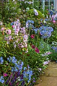 MORTON HALL GARDENS, WORCESTERSHIRE: SOUTH GARDEN, JULY, BORDER, SIDALCEA ELSIE HEUGH, AGAPANTHUS BLUE TRIUMPHATOR, ECHIUM BLUE BEDDER, ROSA MARY ROSE, MAYFLOWER, PHLOX UTOPIA