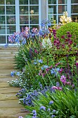 MORTON HALL GARDENS, WORCESTERSHIRE: SOUTH GARDEN, JULY, BORDER, SIDALCEA ELSIE HEUGH, AGAPANTHUS BLUE TRIUMPHATOR, ECHIUM BLUE BEDDER, WHITE CLEOME, CLEMATIS KERMESINA