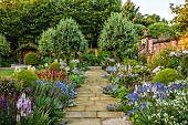 MORTON HALL GARDENS, WORCESTERSHIRE: SOUTH GARDEN, JULY, BORDER, SIDALCEA ELSIE HEUGH, AGAPANTHUS BLUE TRIUMPHATOR, ECHIUM BLUE BEDDER, ROSA MARY ROSE, MAYFLOWER, PHLOX UTOPIA