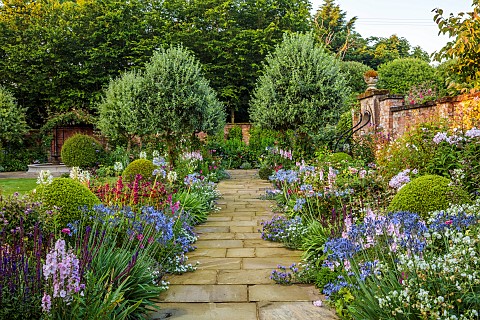 MORTON_HALL_GARDENS_WORCESTERSHIRE_SOUTH_GARDEN_JULY_BORDER_SIDALCEA_ELSIE_HEUGH_AGAPANTHUS_BLUE_TRI
