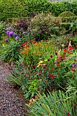 MORTON HALL GARDENS, WORCESTERSHIRE: KITCHEN GARDEN, JULY, BORDER, PHLOX NICKY, ALLIUM SPHAEROCEPHALON, HEMEROCALLIS ALASKAN QUEEN, SALVIA ROYAL BUMBLE, HELENIUM MOERHEIM BEAUTY