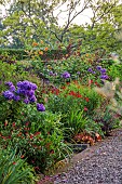 MORTON HALL GARDENS, WORCESTERSHIRE: KITCHEN GARDEN, JULY, BORDER, PHLOX NICKY, ALLIUM SPHAEROCEPHALON, HEMEROCALLIS ALASKAN QUEEN, SALVIA ROYAL BUMBLE, HELENIUM MOERHEIM BEAUTY