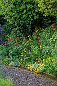 MORTON HALL GARDENS, WORCESTERSHIRE: KITCHEN GARDEN, BORDER, RUDBECKIA, CROCOSMIA X CROCOSIMIIFLORA HONEY ANGELS, LILIUM PARDALINUM
