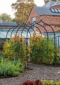 MORTON HALL GARDENS, WORCESTERSHIRE: JULY, KITCHEN GARDEN, POTAGER, VEGETABLES, ARCH, SWEET PEAS, LATHYRUS ODORATUS HENRY ECKFORD