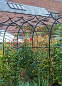 MORTON HALL GARDENS, WORCESTERSHIRE: JULY, KITCHEN GARDEN, POTAGER, VEGETABLES, ARCH, SWEET PEAS, LATHYRUS ODORATUS HENRY ECKFORD