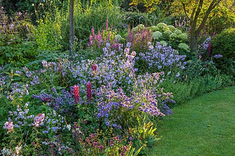 MORTON_HALL_GARDENS_WORCESTERSHIRE_WEST_GARDEN_BORDER_LUPINUS_MASTERPIECE_GERANIUM_CLOUD_NINE_LYTHRU