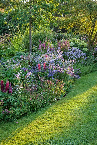 MORTON_HALL_GARDENS_WORCESTERSHIRE_WEST_GARDEN_BORDER_LUPINUS_MASTERPIECE_GERANIUM_CLOUD_NINE_LYTHRU