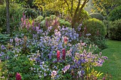 MORTON HALL GARDENS, WORCESTERSHIRE: WEST GARDEN, BORDER, LUPINUS MASTERPIECE, GERANIUM CLOUD NINE, LYTHRUM DROPMORE PURPLE, PHLOX ALPHA, HYDRANGEA ANNABELLE