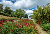 JUNE BLAKES GARDEN, IRELAND: JULY, RED BORDER, MONARDA JACOB CLINE, CROCOSMIA, HOT COLOURS, PATH