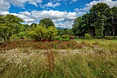 JUNE BLAKES GARDEN, IRELAND: JULY, VIEW TO WICKLOW HILLS, WILDFLOWERS, MEADOW, RED BORDER, MONARDA JACOB CLINE, CROCOSMIA, HOT COLOURS, BAMBOO