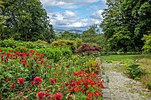JUNE BLAKES GARDEN, IRELAND: JULY, RED BORDER, MONARDA JACOB CLINE, CROCOSMIA, ALSTROEMERIA ORANGE KING, ALSTROEMERIA INDIAN SUMMER, HOT COLOURS, PATH, WICKLOW MOUNTAINS