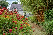 JUNE BLAKES GARDEN, IRELAND: JULY, RED BORDER, MONARDA JACOB CLINE, CROCOSMIA, ALSTROEMERIA AUREA, HOT COLOURS, PATH, BAMBOO, PHYLLOSTACHYS AUREOSULCATA F. AUREOCAULIS