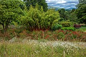 JUNE BLAKES GARDEN, IRELAND: JULY, VIEW TO WICKLOW HILLS, WILDFLOWERS, MEADOW, RED BORDER, MONARDA JACOB CLINE, CROCOSMIA, HOT COLOURS, BAMBOO