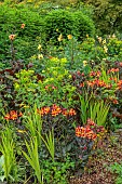 JUNE BLAKES GARDEN, IRELAND: JULY, RED BORDER, HOT, RAISED BED, ALSTROEMERIA INDIAN SUMMER, EUPHORBIA, DAHLIAS