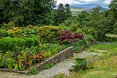 JUNE BLAKES GARDEN, IRELAND: JULY, RED BORDER, HOT, RAISED BED, ALSTROEMERIA INDIAN SUMMER, EUPHORBIA, DAHLIAS, MAPLES, WICKLOW MOUNTAINS