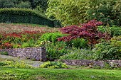 JUNE BLAKES GARDEN, IRELAND: JULY, RED BORDER, HOT, RAISED BED, ALSTROEMERIA INDIAN SUMMER, MONARDA, DAHLIAS, MAPLES, WILDFLOWER MEADOW, BENCH, SEAT, HEDGE