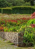 JUNE BLAKES GARDEN, IRELAND: JULY, RED BORDER, HOT, RAISED BED, ALSTROEMERIA INDIAN SUMMER, MONARDA, DAHLIAS, MAPLES, WILDFLOWER MEADOW, HEDGES, HEDGING, WALL, BENCH, SEAT