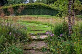 JUNE BLAKES GARDEN, IRELAND: WOODEN STEPS IN LAWN, HEDGES, HEDGING, PATHS