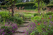 JUNE BLAKES GARDEN, IRELAND: WOODEN STEPS IN LAWN, HEDGES, HEDGING, PATHS