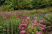 JUNE BLAKES GARDEN, IRELAND: BORDERS, PINK AND RED BED, FILIPENDULA ELEGANS, MONARDA JACOB CLINE, ERYNGIUM ZABELLII BIG BLUE