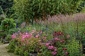 JUNE BLAKES GARDEN, IRELAND: BORDERS, PINK AND RED BED, FILIPENDULA ELEGANS, MONARDA JACOB CLINE, ERYNGIUM ZABELLII BIG BLUE
