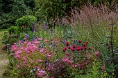 JUNE BLAKES GARDEN, IRELAND: BORDERS, PINK AND RED BED, FILIPENDULA ELEGANS, MONARDA JACOB CLINE, ERYNGIUM ZABELLII BIG BLUE