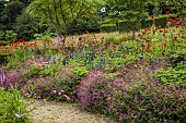 JUNE BLAKES GARDEN, IRELAND: JULY, BORDERS, GERANIUM ANNE THOMPSON, MONARDA JACOB CLINE, ERYNGIUM ZABELLII BIG BLUE