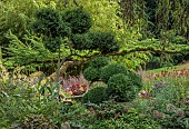 JUNE BLAKES GARDEN, IRELAND: JULY, SHADY BORDER, CLIPPED TOPIARY BOX, LARIX DECIDUA, CLOUD HEDGING, HEDGES, CLOUD PRUNED, MONARDA JACOB CLINE
