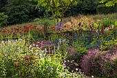 JUNE BLAKES GARDEN, IRELAND: JULY, BORDER, MONARDA JACOB CLINE, GERANIUM ANNE THOMPSON, STIPA GIGANTEA, ERYNGIUM BIG BLUE, ARALIA ECHINOCAULIS
