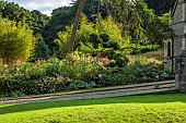 JUNE BLAKES GARDEN, IRELAND: JULY, SHADY BORDER, CLIPPED TOPIARY BOX, LARIX DECIDUA, CLOUD HEDGING, HEDGES, CLOUD PRUNED, MONARDA JACOB CLINE