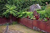 JUNE BLAKES GARDEN, IRELAND: JULY, DICKSONIA ANTARCTICA, NEW ZEALAND TREE FERN, RAISED CORTEN STEEL BEDS, ROCK, BOULDER