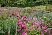 JUNE BLAKES GARDEN, IRELAND: BORDERS, PINK AND RED BED, FILIPENDULA ELEGANS, MONARDA JACOB CLINE, ERYNGIUM ZABELLII BIG BLUE