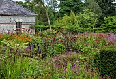 JUNE BLAKES GARDEN, IRELAND: JULY, HOT BORDER, YEW HEDGING, HEDGES, MONARDAS, DAHLIAS, ALSTROEMERIA