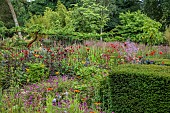 JUNE BLAKES GARDEN, IRELAND: JULY, HOT BORDER, YEW HEDGING, HEDGES, MONARDAS, DAHLIAS, ALSTROEMERIA