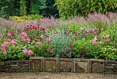 JUNE BLAKES GARDEN, IRELAND: BORDERS, PINK AND RED BED, FILIPENDULA ELEGANS, MONARDA JACOB CLINE, ERYNGIUM ZABELLII BIG BLUE, LYCHNIS CORONARIA, RAISED BED