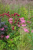 JUNE BLAKES GARDEN, IRELAND: BORDERS, PINK AND RED BED, FILIPENDULA ELEGANS, MONARDA JACOB CLINE